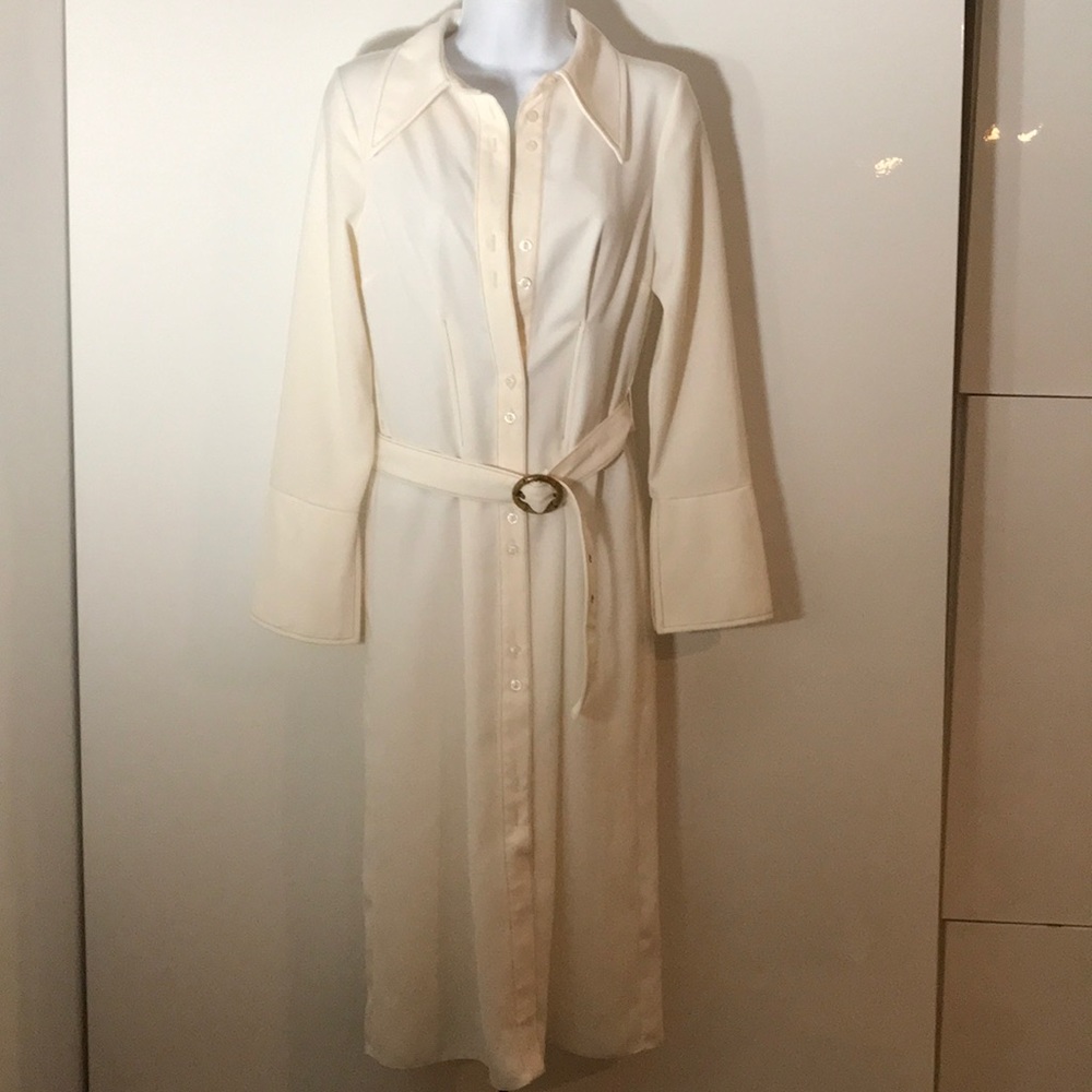 ASOS 70s Shirt Midi Dress With Extreme Collar - Picture 5 of 7
